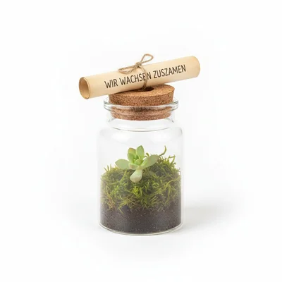 Mini-Terrarium im Glas mit Liebesbotschaft im Korken