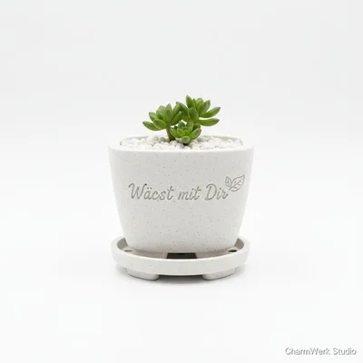 Mini-Bonsai-Topf mit Namensband und Drainage